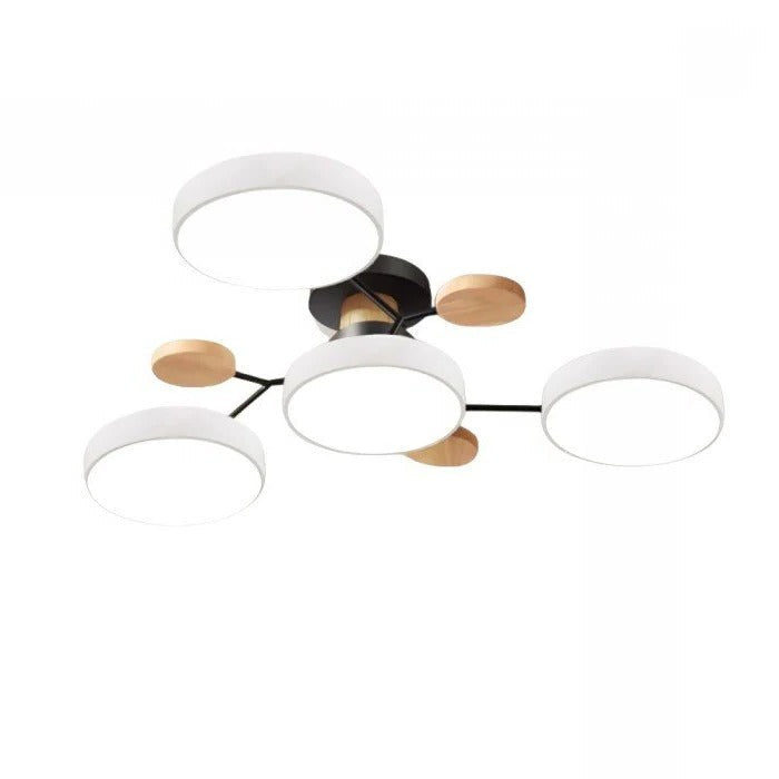 Elegant LED Ceiling Light with Modern Design