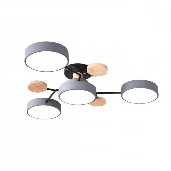 Elegant LED Ceiling Light with Modern Design