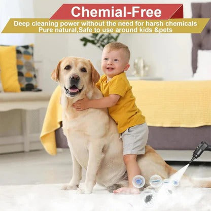 Powerful Heavy Duty Steam Cleaner