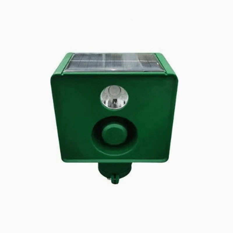 Motion Activated Outdoor Security Lights
