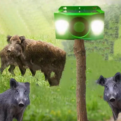 Motion Activated Outdoor Security Lights