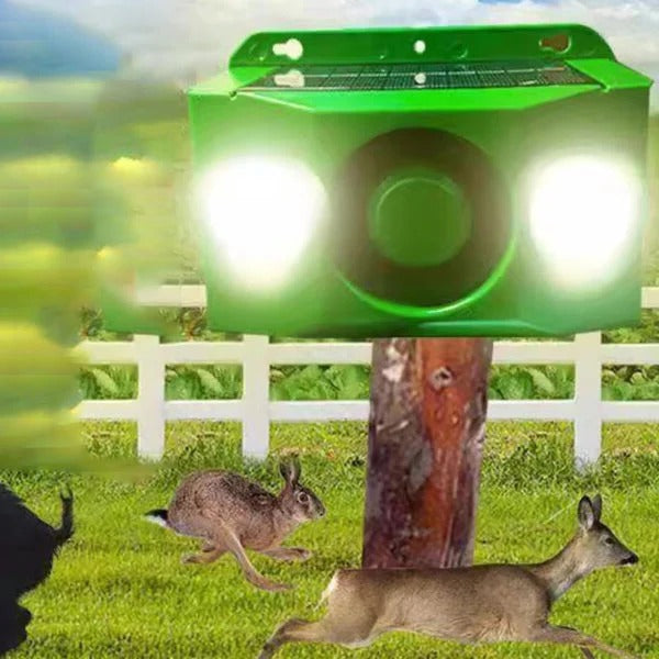 Motion Activated Outdoor Security Lights