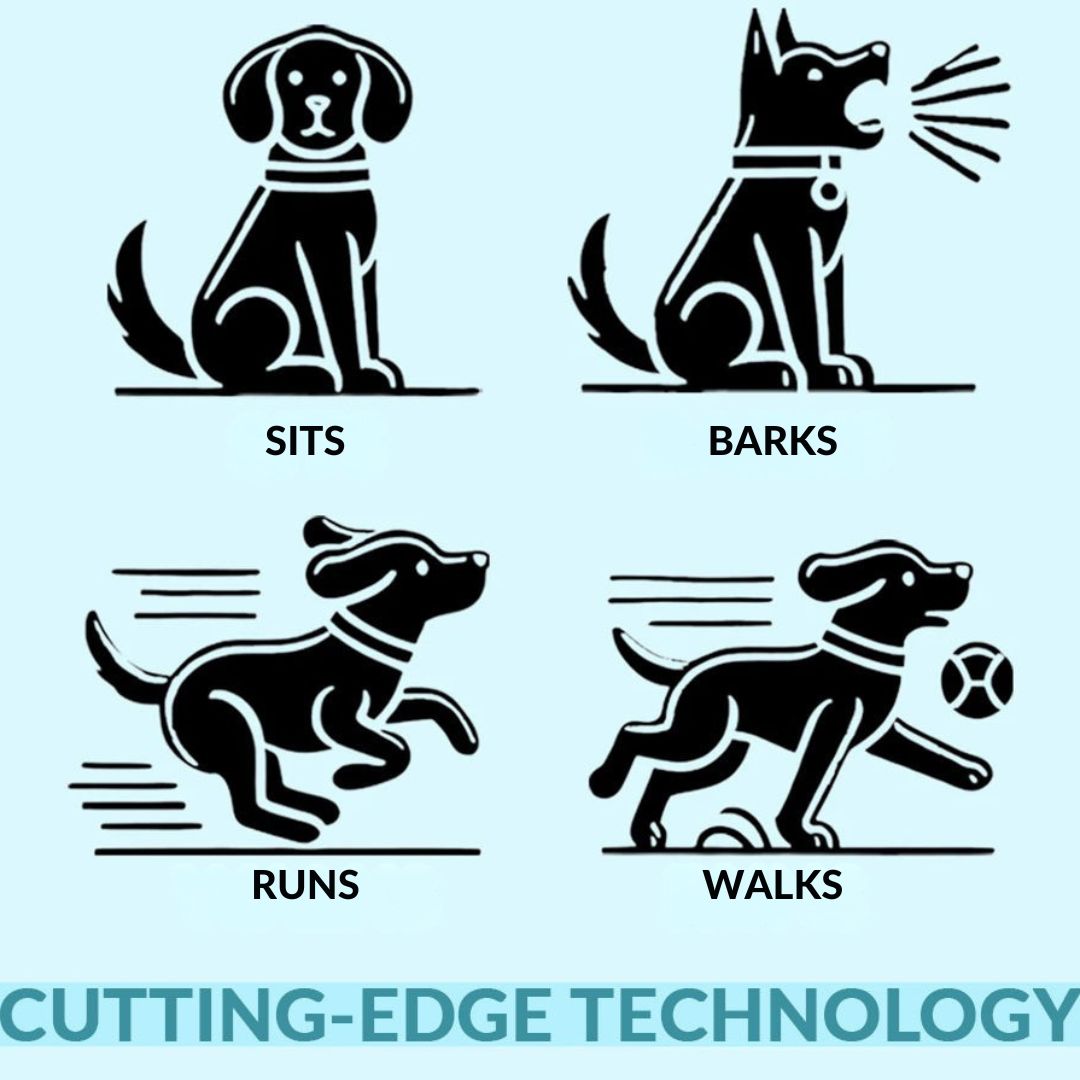 Fun Interactive Pet Dog Toy