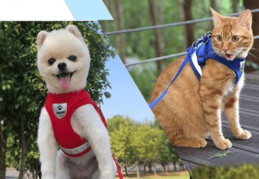 Safe Cat Harness with Leash and Reflective Straps - Halri