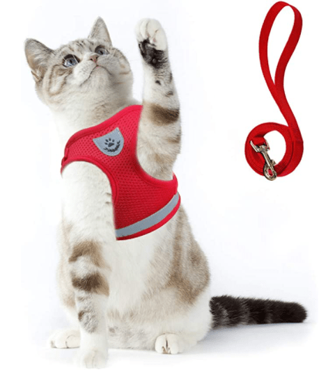 Safe Cat Harness with Leash and Reflective Straps