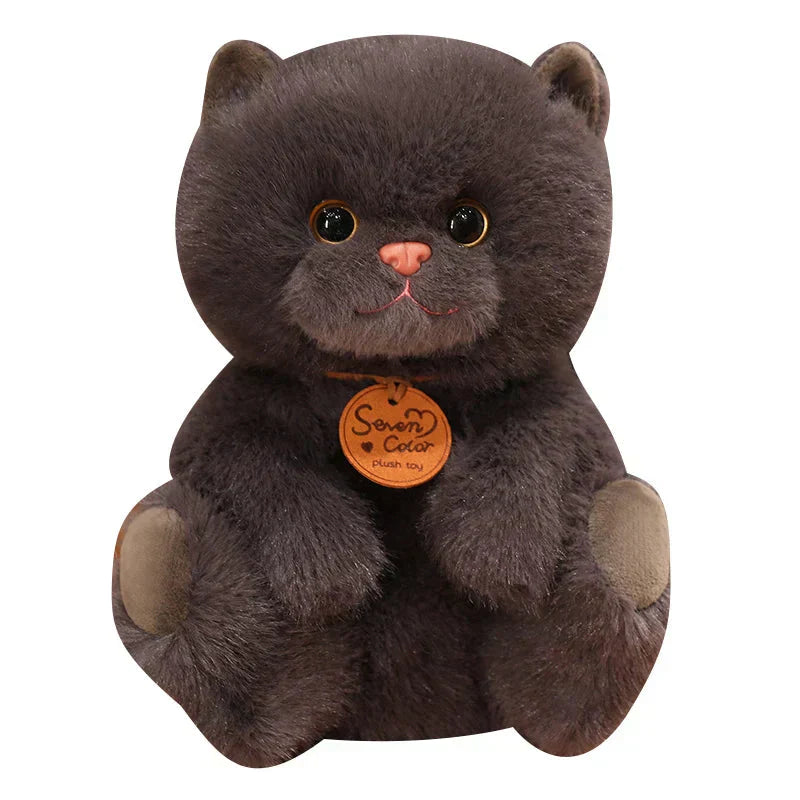 Soft Cute Kitten Plush Toys - Halri