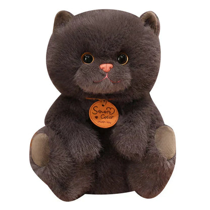 Soft Cute Kitten Plush Toys - Halri