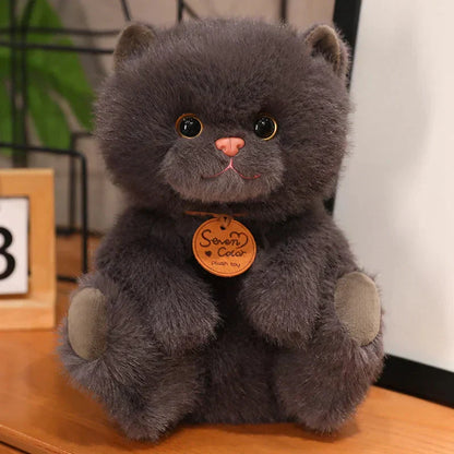 Soft Cute Kitten Plush Toys