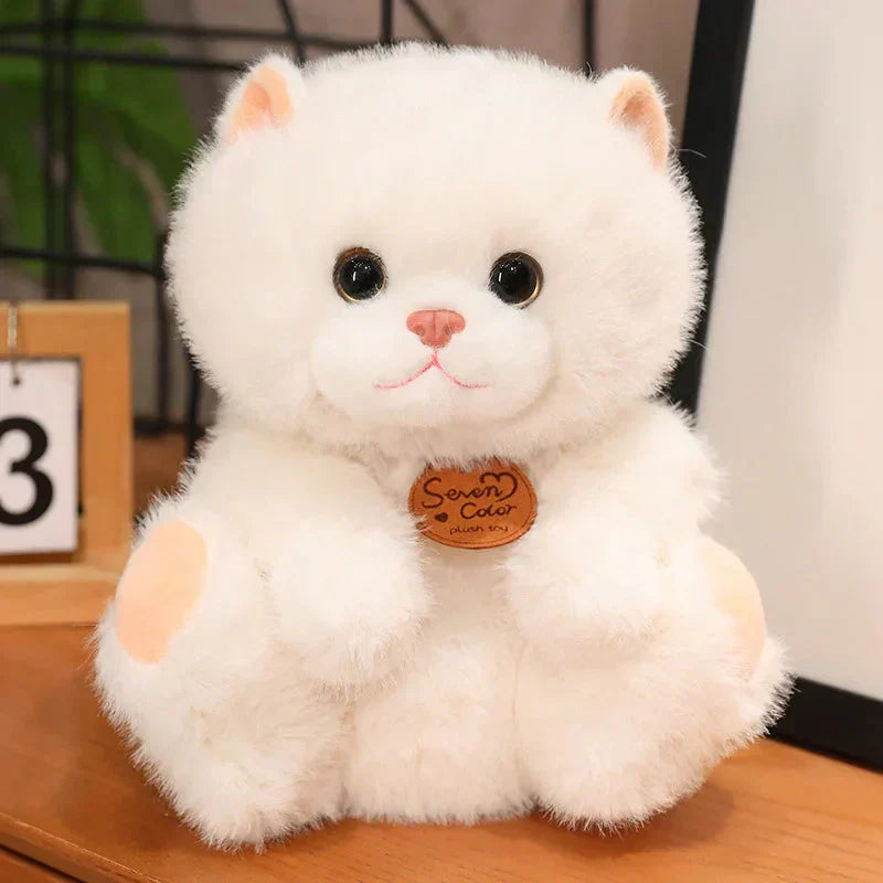 Soft Cute Kitten Plush Toys