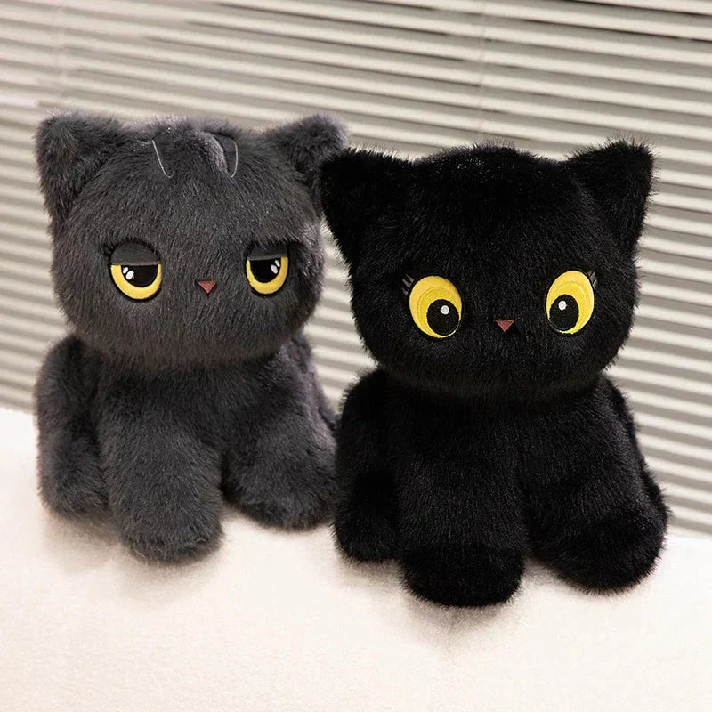 Cuddly Kitty Plush Toys - Halri