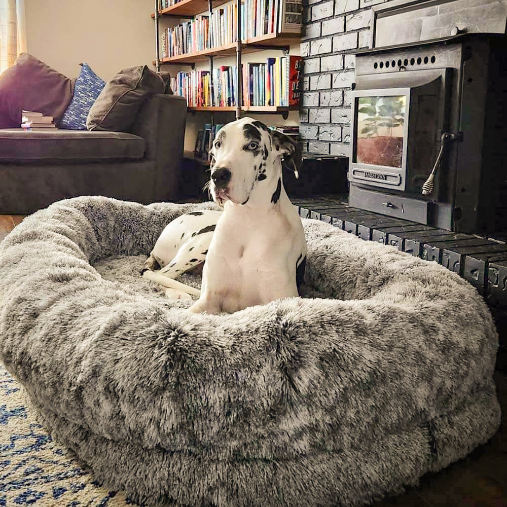 Extra Large Plush Orthopedic Dog Bed