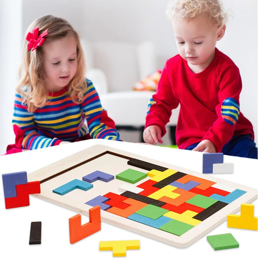 Intellectual Mind Challenge Puzzle - Halri
