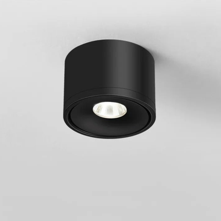 Adjustable Ceiling Spot Light Rotating Fixture