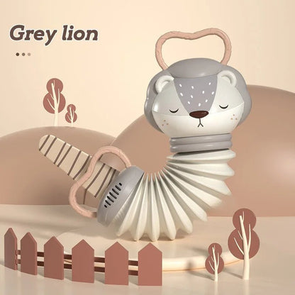 Baby Music Toy Accordion Rattle Set