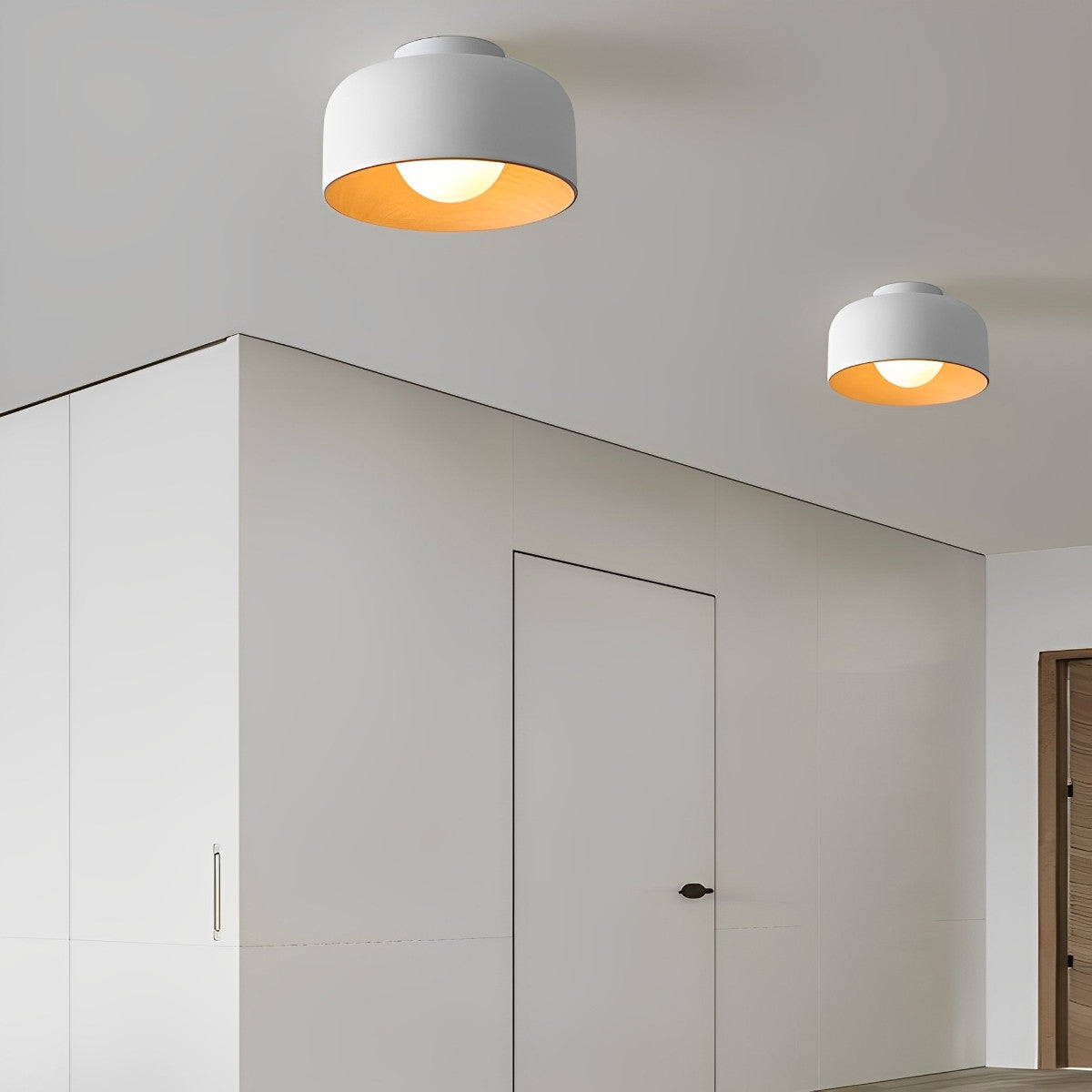 Simple LED Ceiling Light Fixtures Flush Mount Chandelier