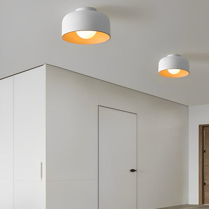Simple LED Ceiling Light Fixtures Flush Mount Chandelier