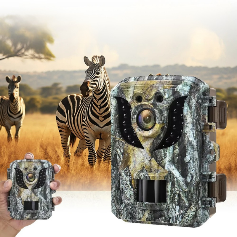 Compact Wildlife Camera with 1080P HD Night Vision – Halri