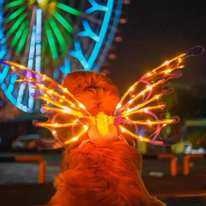 Bright LED Wing Costume for Kids and Adults
