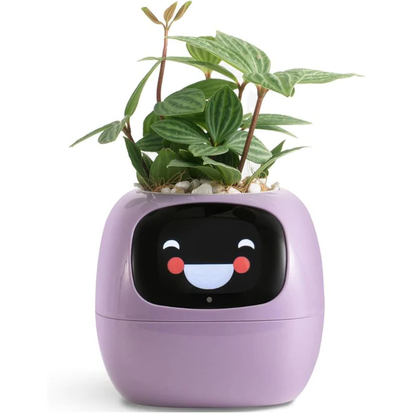 Intelligent Self Watering Planter Pot