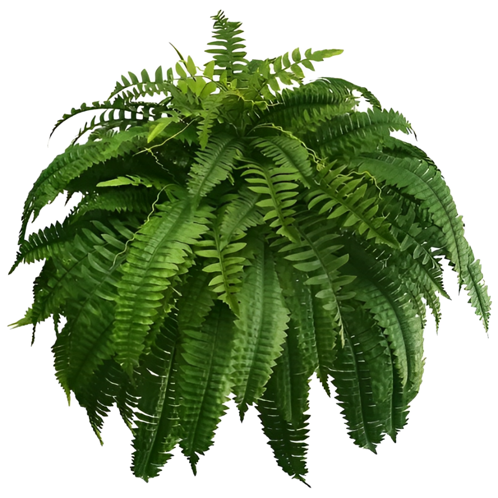 Durable Fake Boston Fern Plant – Indoor Outdoor Green Decor