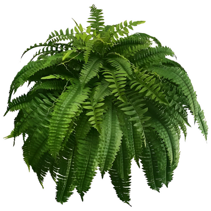 Durable Fake Boston Fern Plant – Indoor Outdoor Green Decor