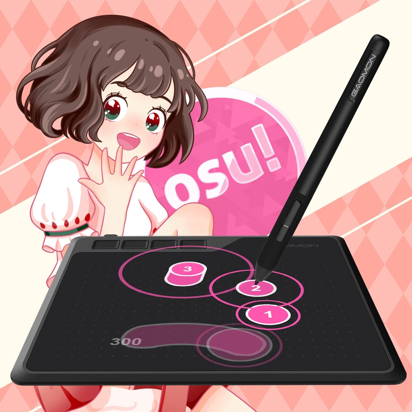Professional Graphic Drawing Tablet for PC Laptop