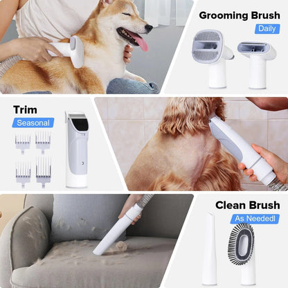 Pet Grooming Tool Set With Suction