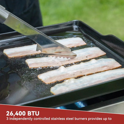 Compact Outdoor Gas BBQ Grill