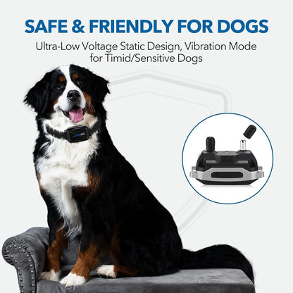 Anti Bark Training Collar