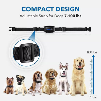 Anti Bark Training Collar