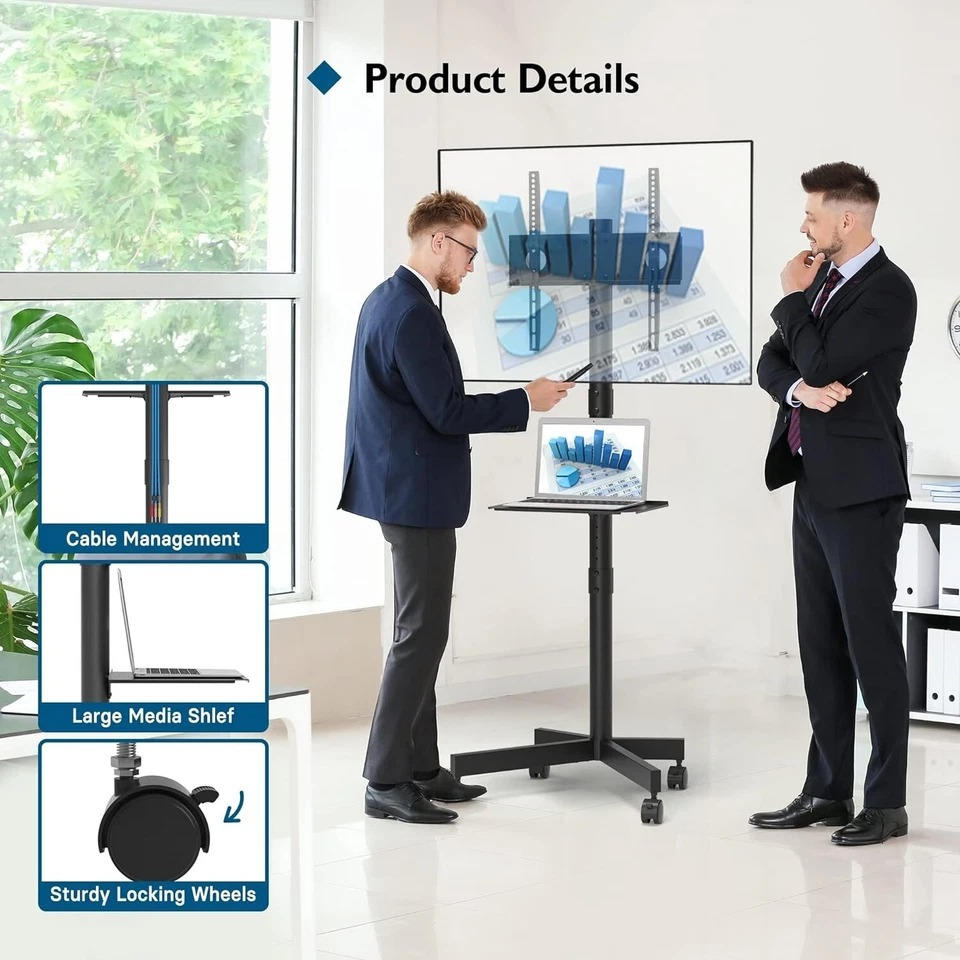 Mobile TV Cart