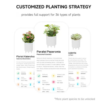 Intelligent Self Watering Planter Pot