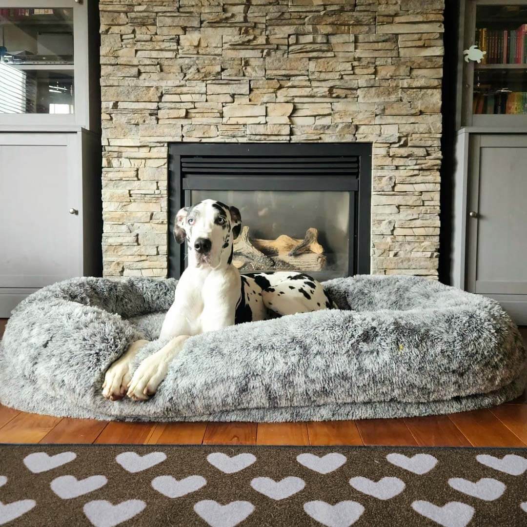Extra Large Plush Orthopedic Dog Bed