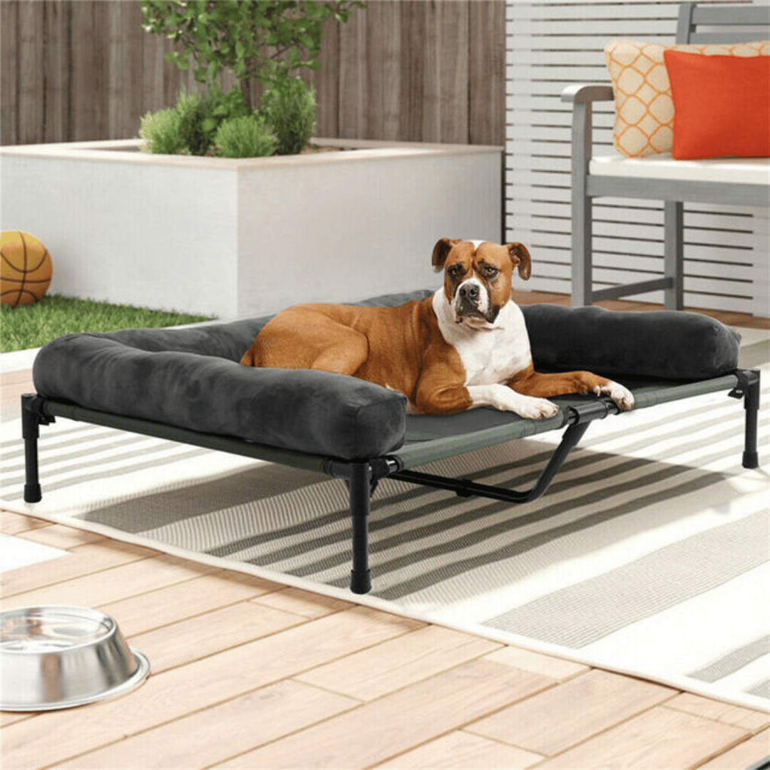 Orthopedic Elevated Dog Bed for Big Dogs