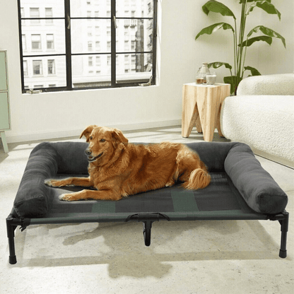 Orthopedic Elevated Dog Bed for Big Dogs