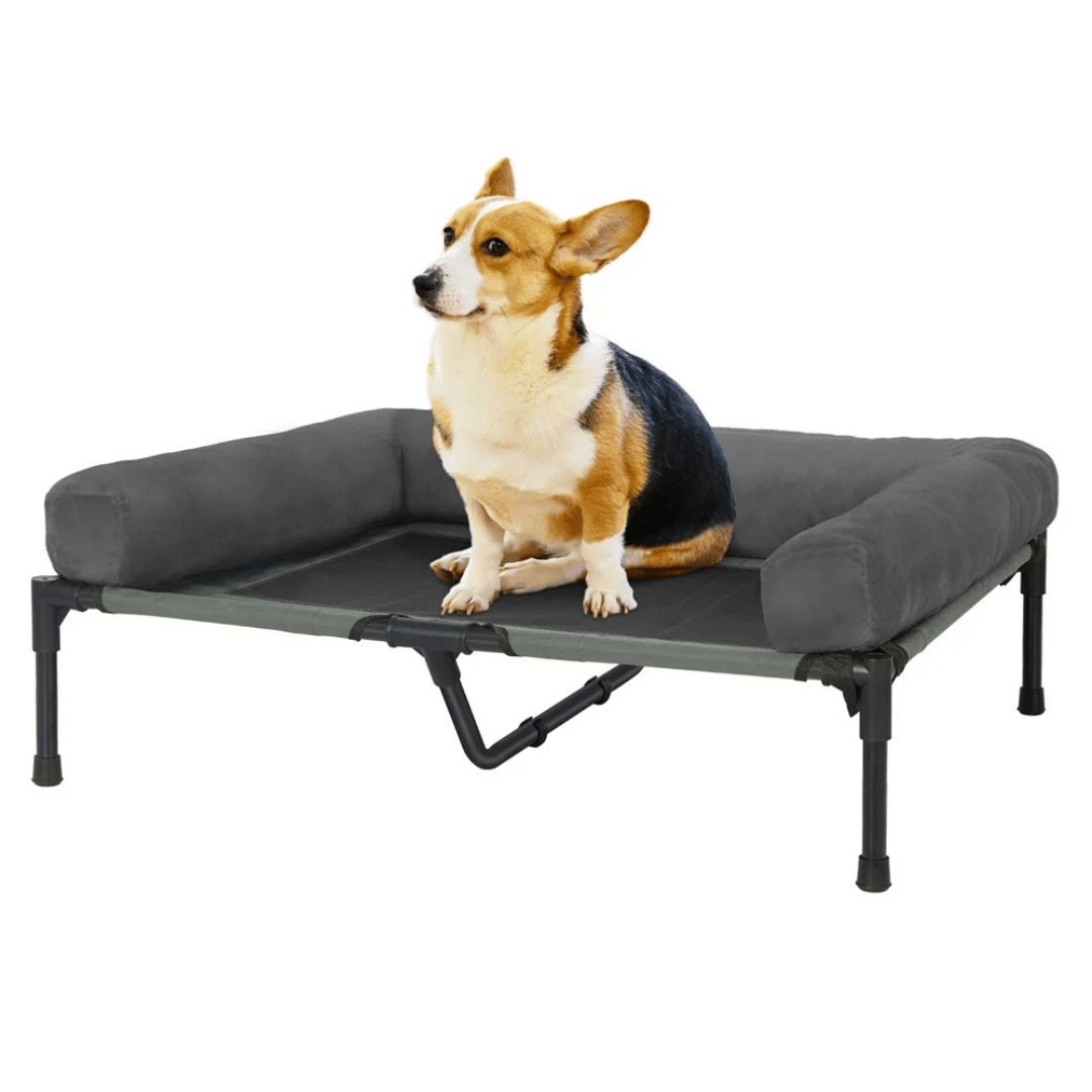 Orthopedic Elevated Dog Bed for Big Dogs
