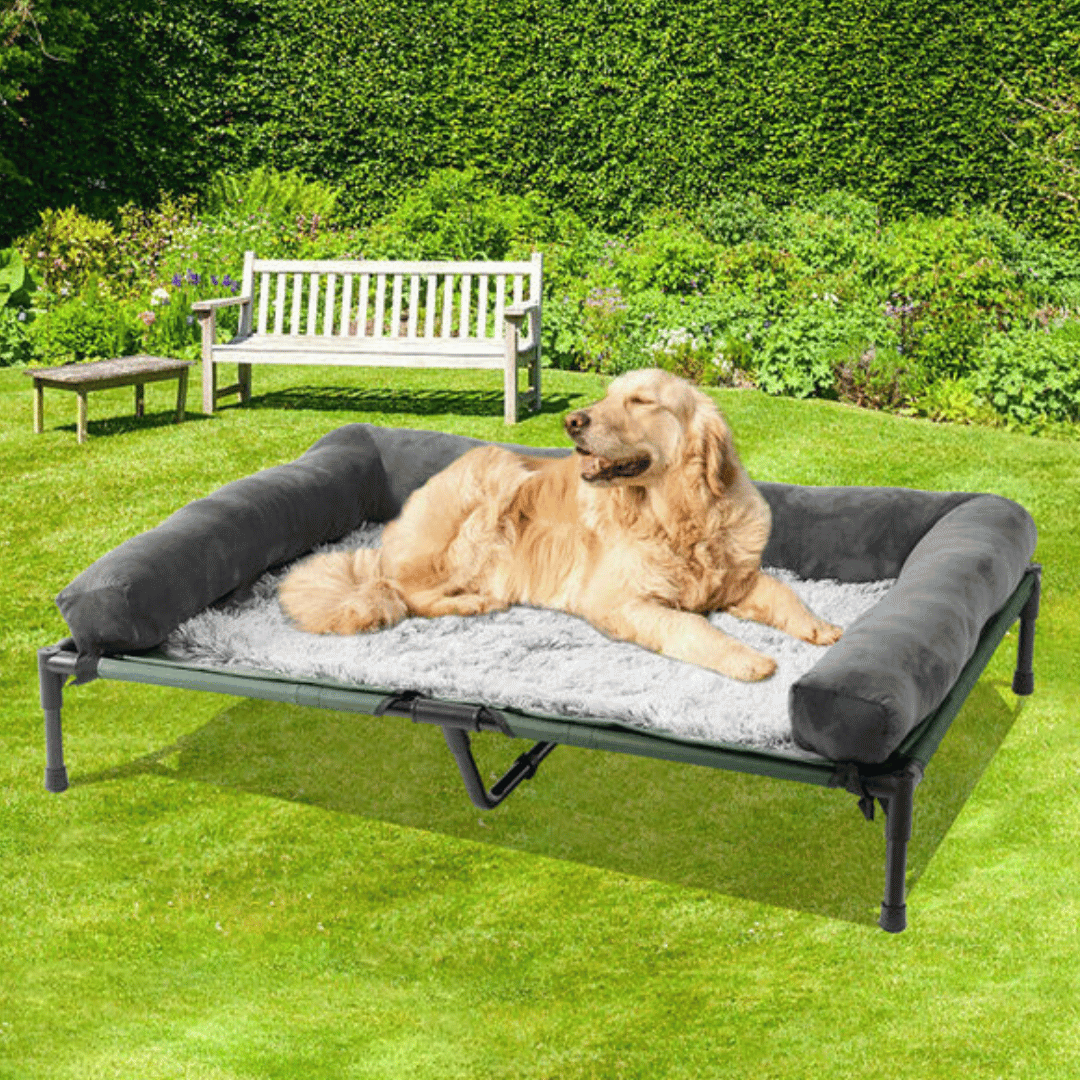 Orthopedic Elevated Dog Bed for Big Dogs
