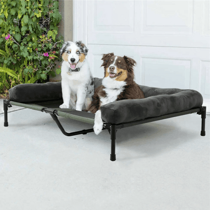 Orthopedic Elevated Dog Bed for Big Dogs