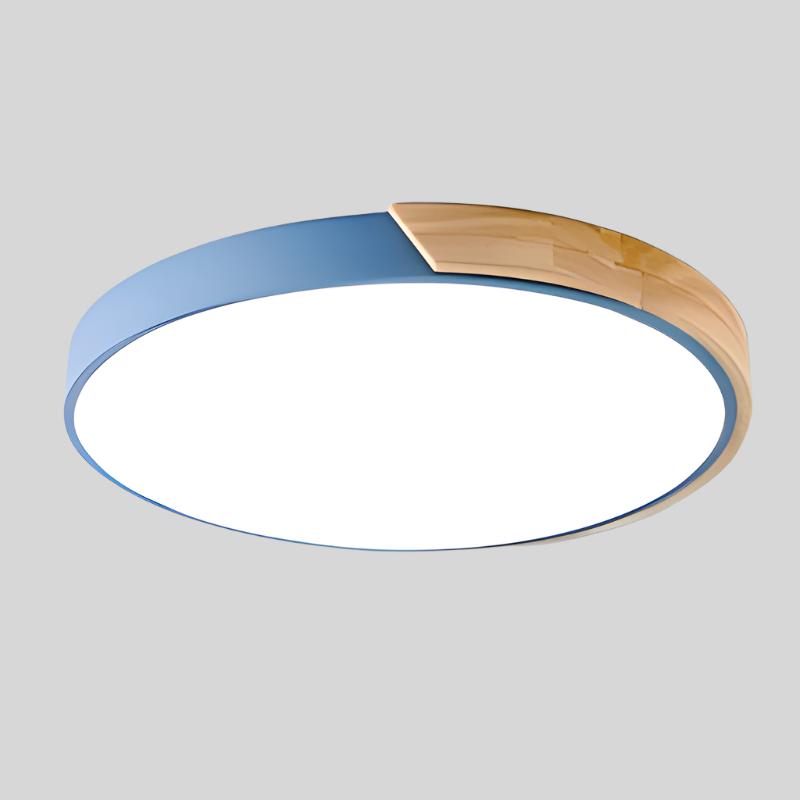 Simple Round LED Ceiling Fixture Slim Flush Mount